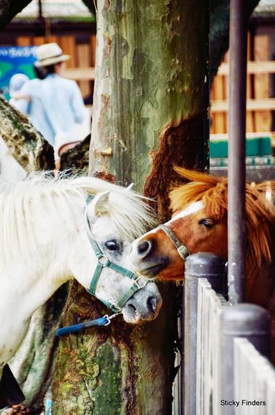 宇都宮動物園~ろまんちっく村