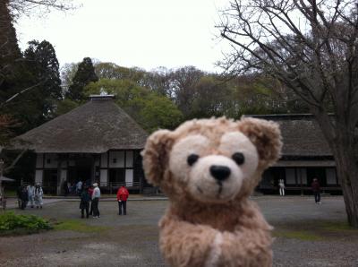 世界街歩き　with ダッフィー　～有珠善光寺～