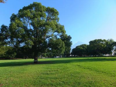 自転車でウロウロ…　２０１３．０８．２０　=早朝の富士市内・富士山が見えた！=