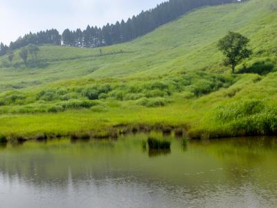 夏の砥峰高原