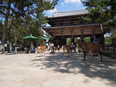 2013.8 兵庫・奈良・和歌山　−２日目／興福寺・奈良公園・東大寺・春日大社・元興寺・薬師寺−