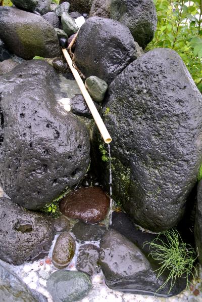 箱根路で路傍の湧水を巡る ［2日目］