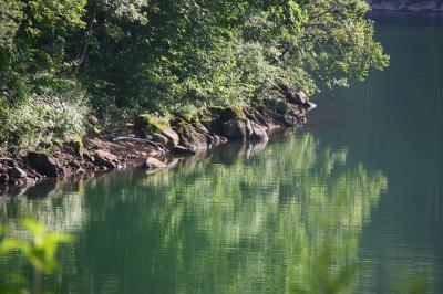 暑さを逃れて、信州(3) 琵琶池湖畔を歩く