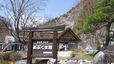 あぶくま洞と星の村天文台　夏井川の桜