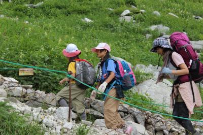 2013年　8月　中央アルプスの「千畳敷カール」（標高2612m）は、高山植物で溢れる爽やかな別天地（2）