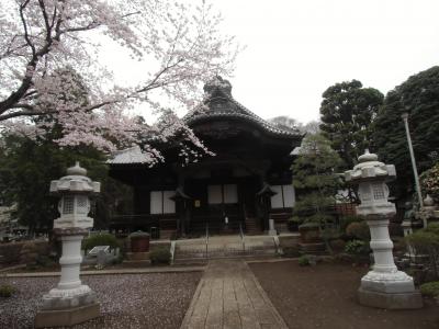 常陸結城　関白秀吉の斡旋で結城家の養子から１８代当主となった秀康（徳川家康次男）が息女の追善供養のため建立したという『弘経寺』散歩