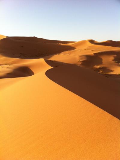 美しすぎたサハラ砂漠