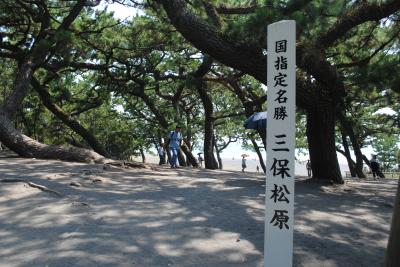 富士山を見に行こか！