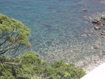 伊豆大島一周サイクリング