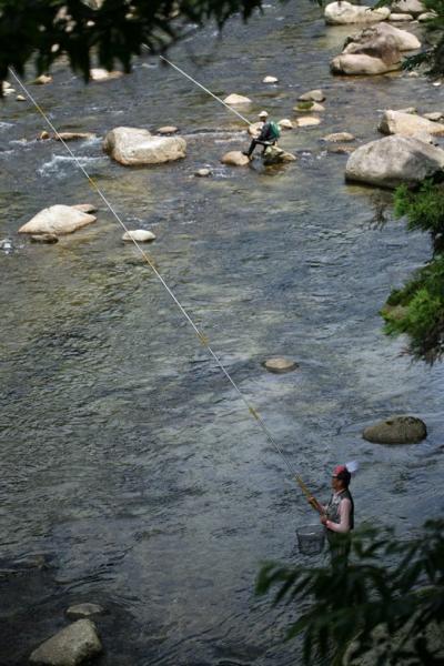 小さな旅●茶臼山山麓 7月の野草散策 2013