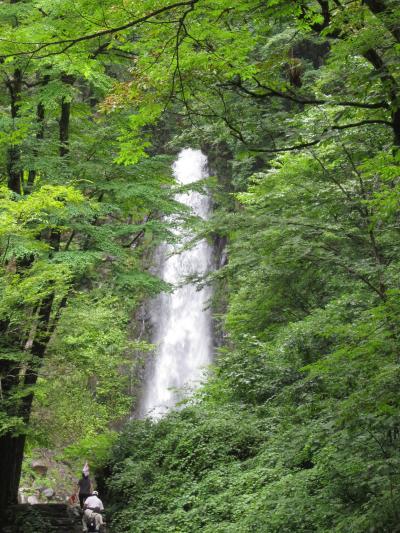 マイナスイオン満喫のミステリーツアー