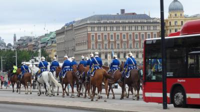 2013北欧 母子二人旅 6-1. ストックホルム <王宮・衛兵交替式>