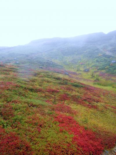 日本一早い大雪山の紅葉＆十勝・帯広の旅（2日目：旭岳/十勝川温泉三余庵）