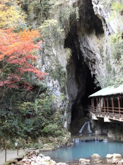 （思い出日記）２０１０年１１月１５日～広島,山口４日間