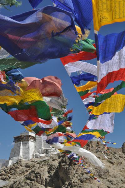 インド/ラダック旅行 (4-1):レー&下ラダック