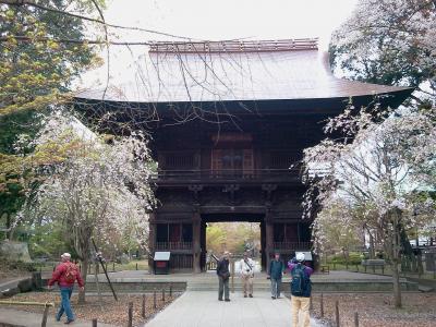 2013年3月　九品仏＋奥沢城址　訪問