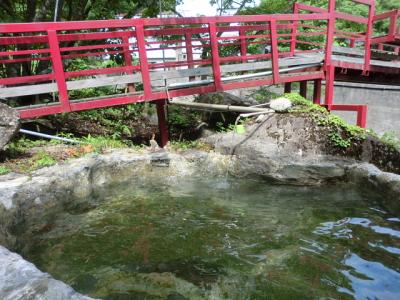 福島県　二岐、木賊、湯の花日帰り入浴（２０１３年６月）。。。その１「二岐温泉　大和館」