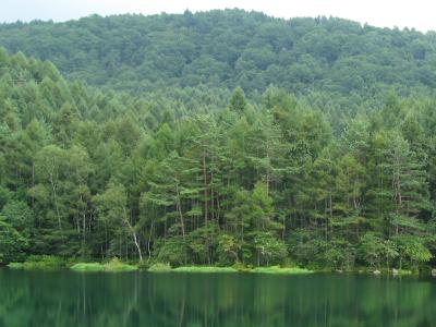 初秋の御射鹿池