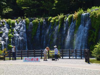 山中湖　散歩−３　花の都公園　有料施設も美しさがいっぱい　下