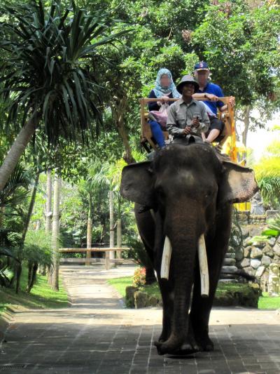 バリ島で癒される5日間【2】　一日観光編　～ウブドで象に乗りたい～