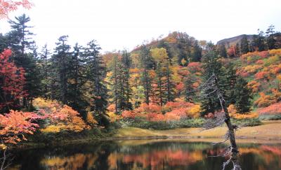 秋を満喫　北海道の旅　②こんな紅葉見たことない！大雪高原沼めぐり