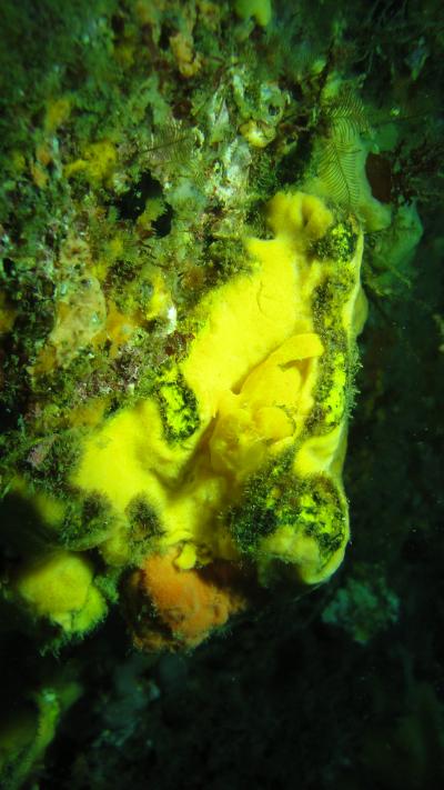 久しぶりの伊豆海洋公園