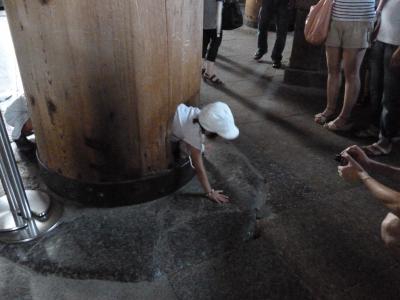 2013 夏 あっちっち～京都・奈良～ vol.4　《奈良へ　興福寺と東大寺》