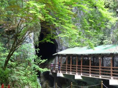 「秋芳洞」に「萩」に「山口」に・・・山口県をうろうろ、自然と文化に触れる旅をしてきました。