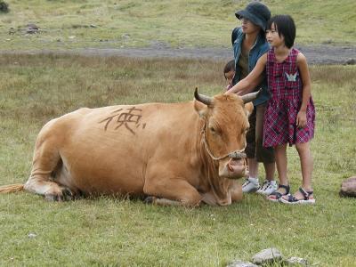 「九州縦断」旅の記録（4）・・・阿蘇