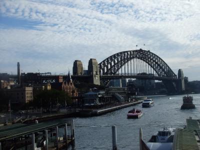 2013年夏　コアラが期待以上にかわいかったシドニー！