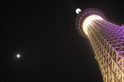 東京スカイツリーvsTaipei１０１　夜景の競演