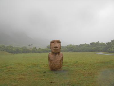 サマーバカンスinハワイ家族旅行2013☆②どしゃ降りクアロアランチ牧場編♪