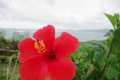 憧れの沖縄離島の旅