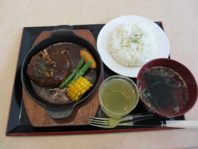 ２０１３年ＳＦＣ（ＡＮＡ）修行９回目　石垣タッチでＰＰを確保せよ！　羽田～（那覇～石垣）＊３～羽田（日帰り）　前回未達成の宿題、石垣牛を使った料理を食べた旅