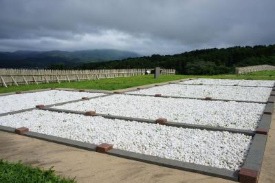 8月下旬の旅　あなたの知らない道南　Part.3　江差かもめ島＆上ノ国遺跡