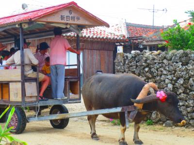 台湾在住のナイチャーが行くヤイマの旅（3）