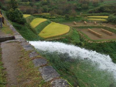 熊本、阿蘇、高千穂　２泊3日（２０１１年秋）