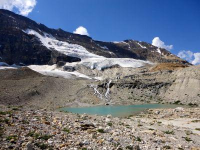 カナディアンロッキー2013夏:08/11(Day4)::朝のMorain LakeのあとIceline(ヨーホーNP)