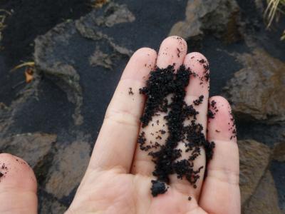 Peachで行く 鹿児島一泊二日