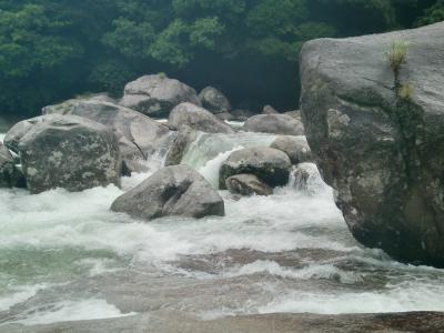 屋久島１人旅　2日目　～台風で縄文杉断念　代わりに島内観光～