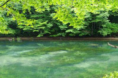 カメラと旅する夏の青森 -奥入瀬・十和田湖 癒しのウォーキング -