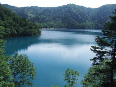 夏の志賀高原を行く！（２）渋池～四十八池湿原～大沼池。