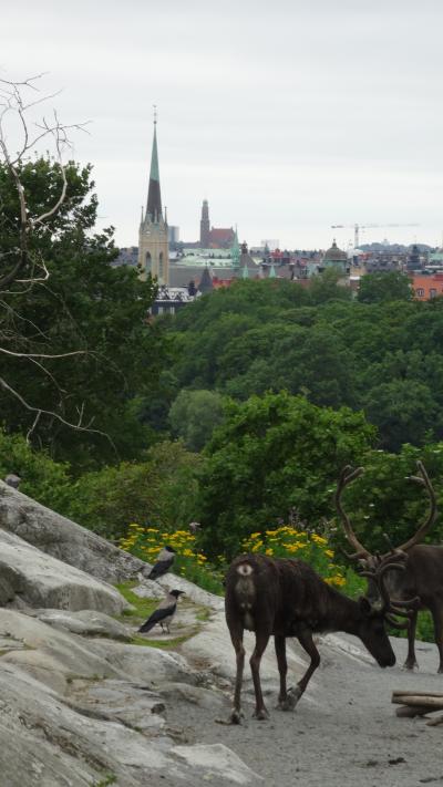 2013北欧 母子二人旅 6-2. ストックホルム <スカンセン野外博物館>