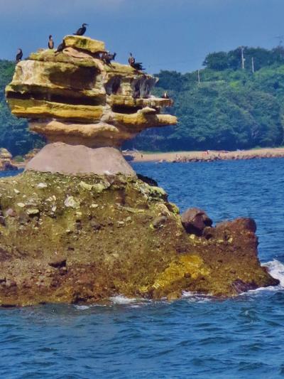 松島-5　松島湾一周　復興の海　陽に映えて　☆第三仁王丸　グリーン室