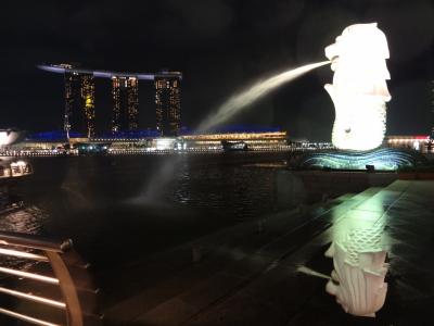 シンガポール　マリーナベイサンズ　４泊７日（２０１１年夏）