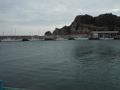 太東漁港でバードウォッチング [2013](1)
