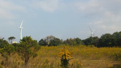 鹿島で見つけた風力発電風車
