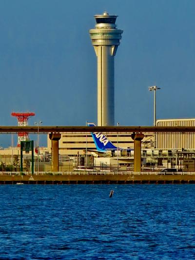 横浜⇒羽田クルーズb　多摩川～羽田D滑走路沖で　☆離着陸する旅客機を仰ぐ