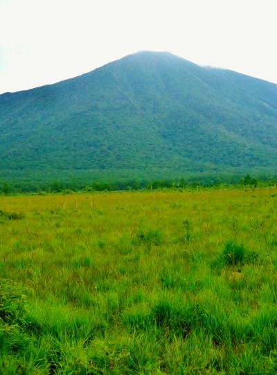 奥日光Walk -2　戦場ヶ原～泉門池　新しい木道も　☆植物は初秋の気配に