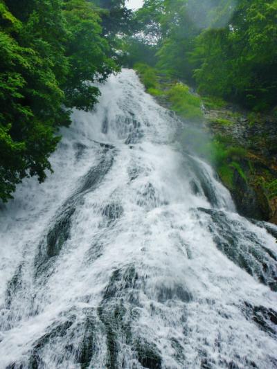 奥日光Walk-3　湯滝・轟々と～湯ノ湖・ゆったり　☆雨あがり/さわやかに
